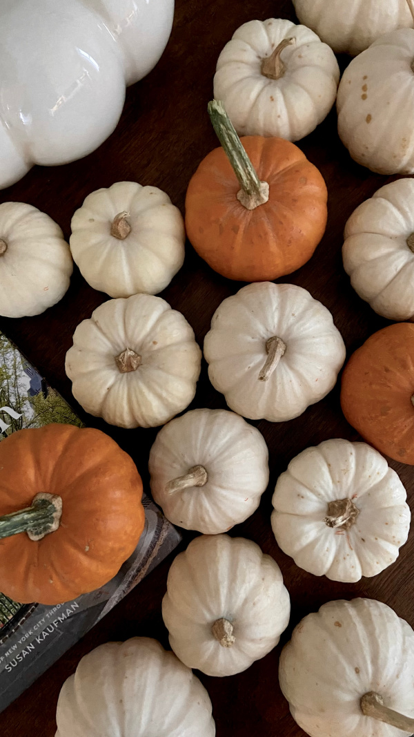 Five Things on a Friday - Fall decorating is starting
