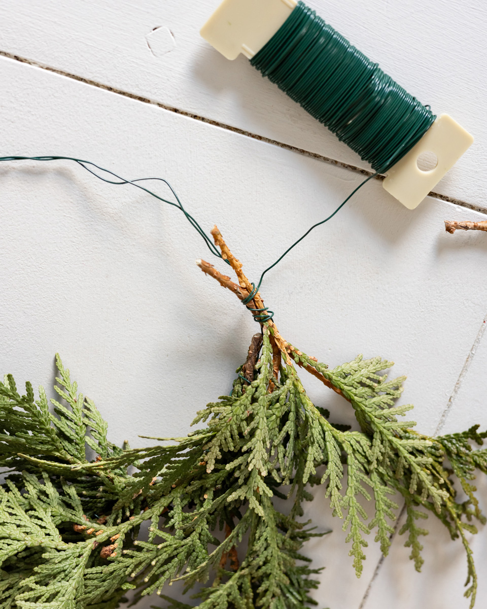 Making a mini Christmas wreath with fresh cedar.
