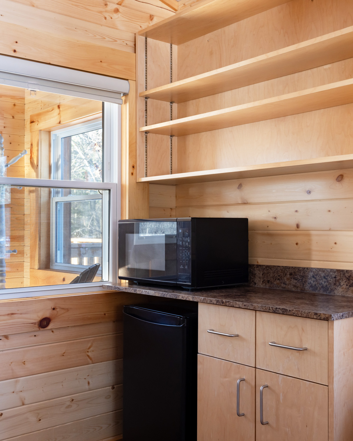 The cabin kitchenette with microwave and mini fridge.