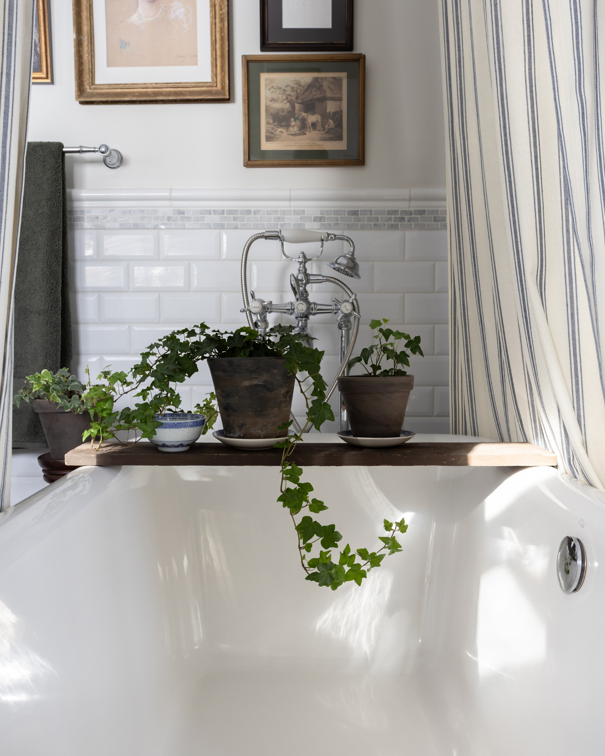 Plants on a tub tray in a traditional bathroom.