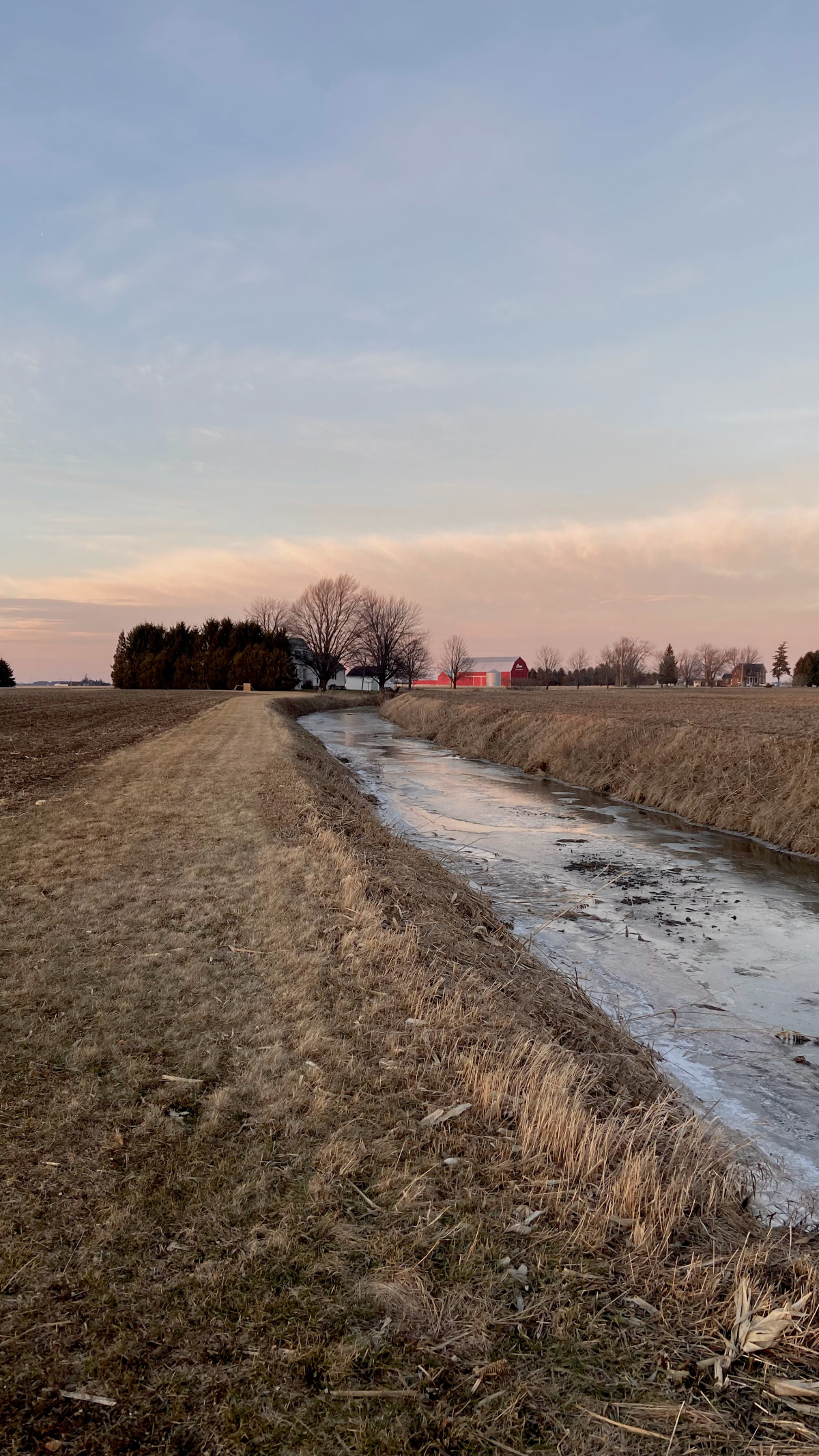 January on the creek path.