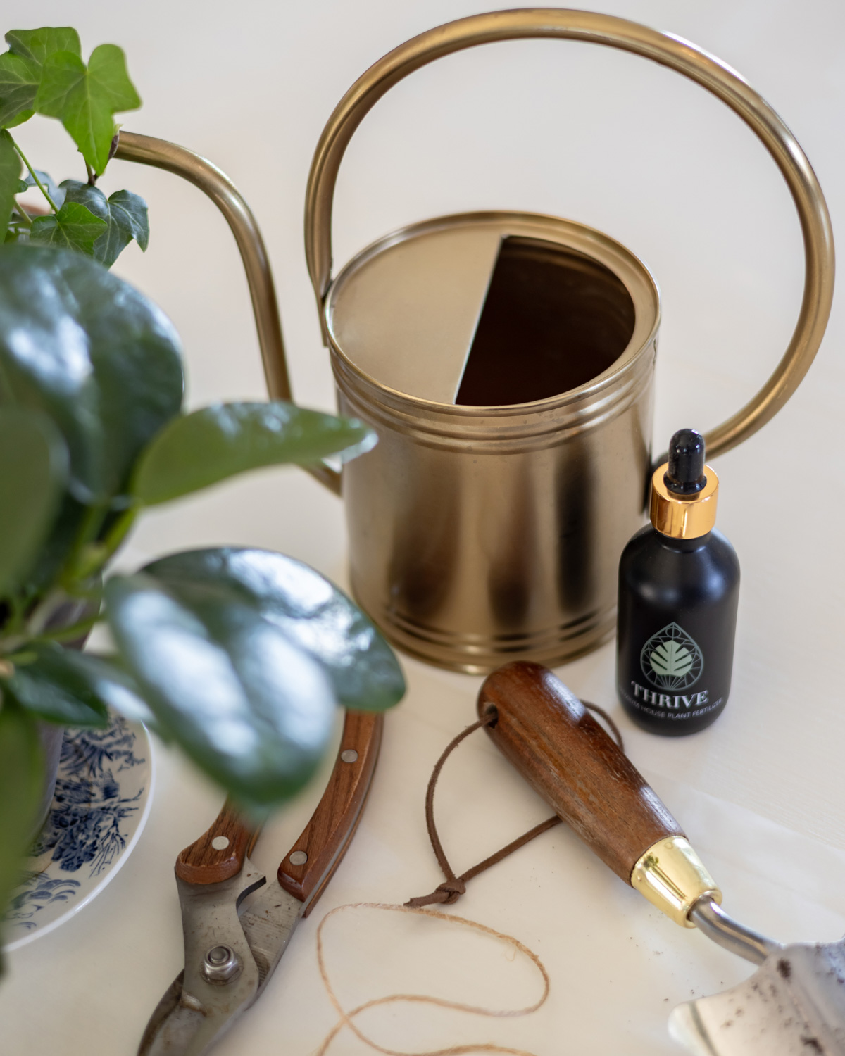 My weekly watering routine with Plant Vitamins.