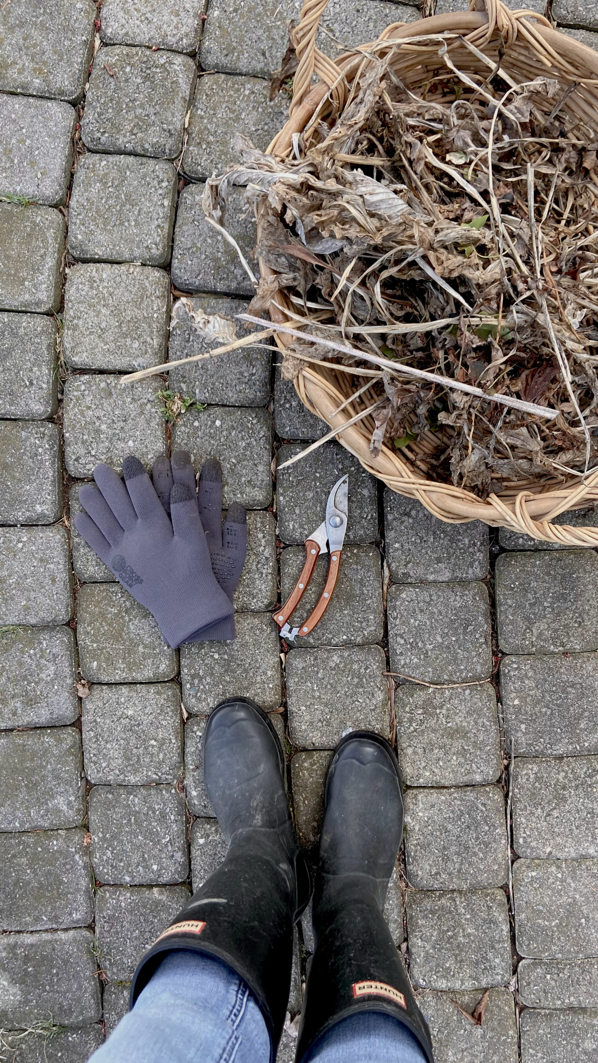 Early spring garden clean up.