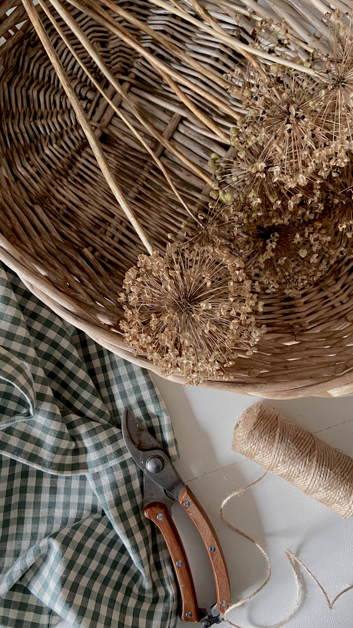 Dried allium blooms gathered in a basket.