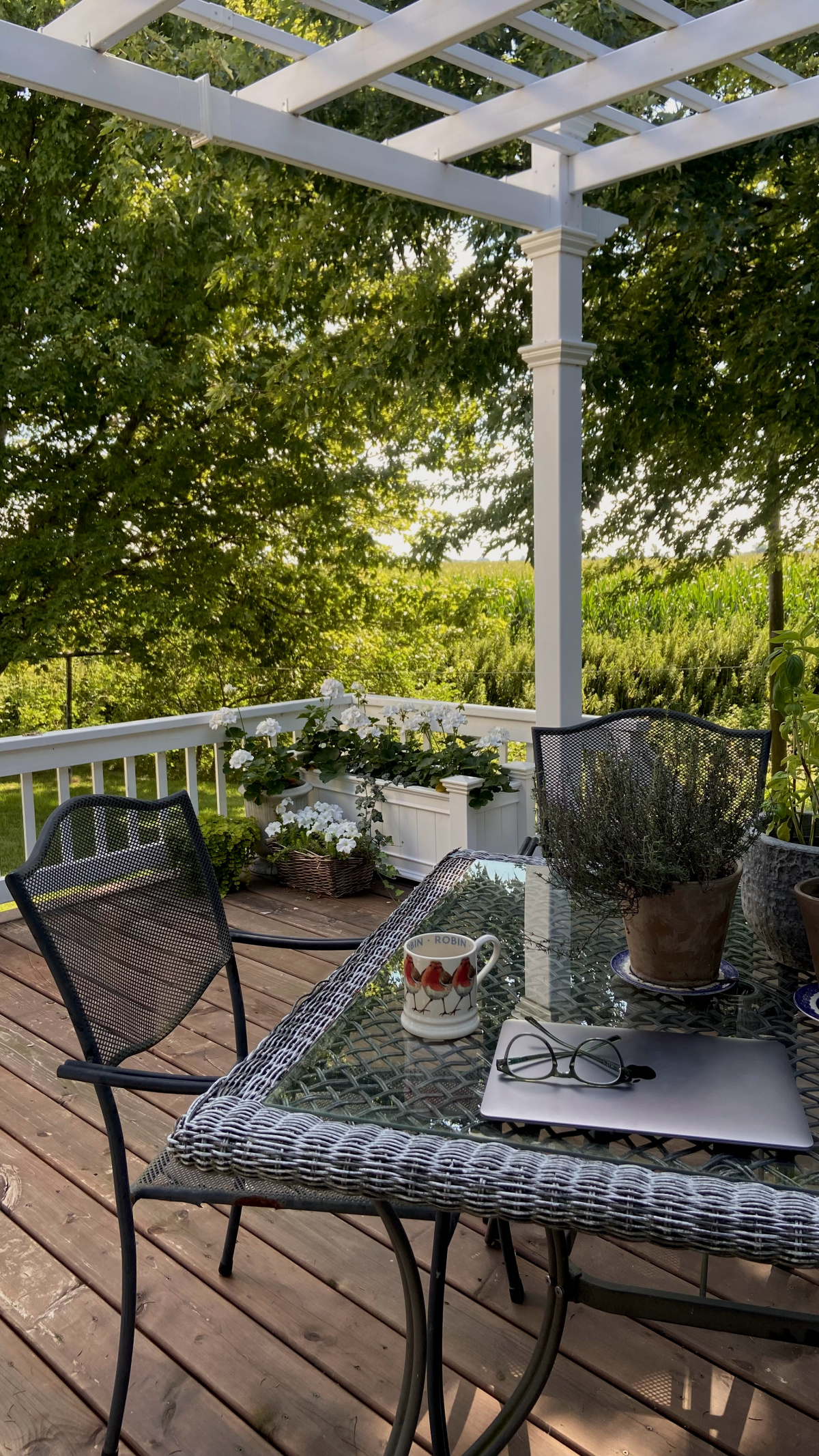 Our back deck in August with traditional style furnishings.