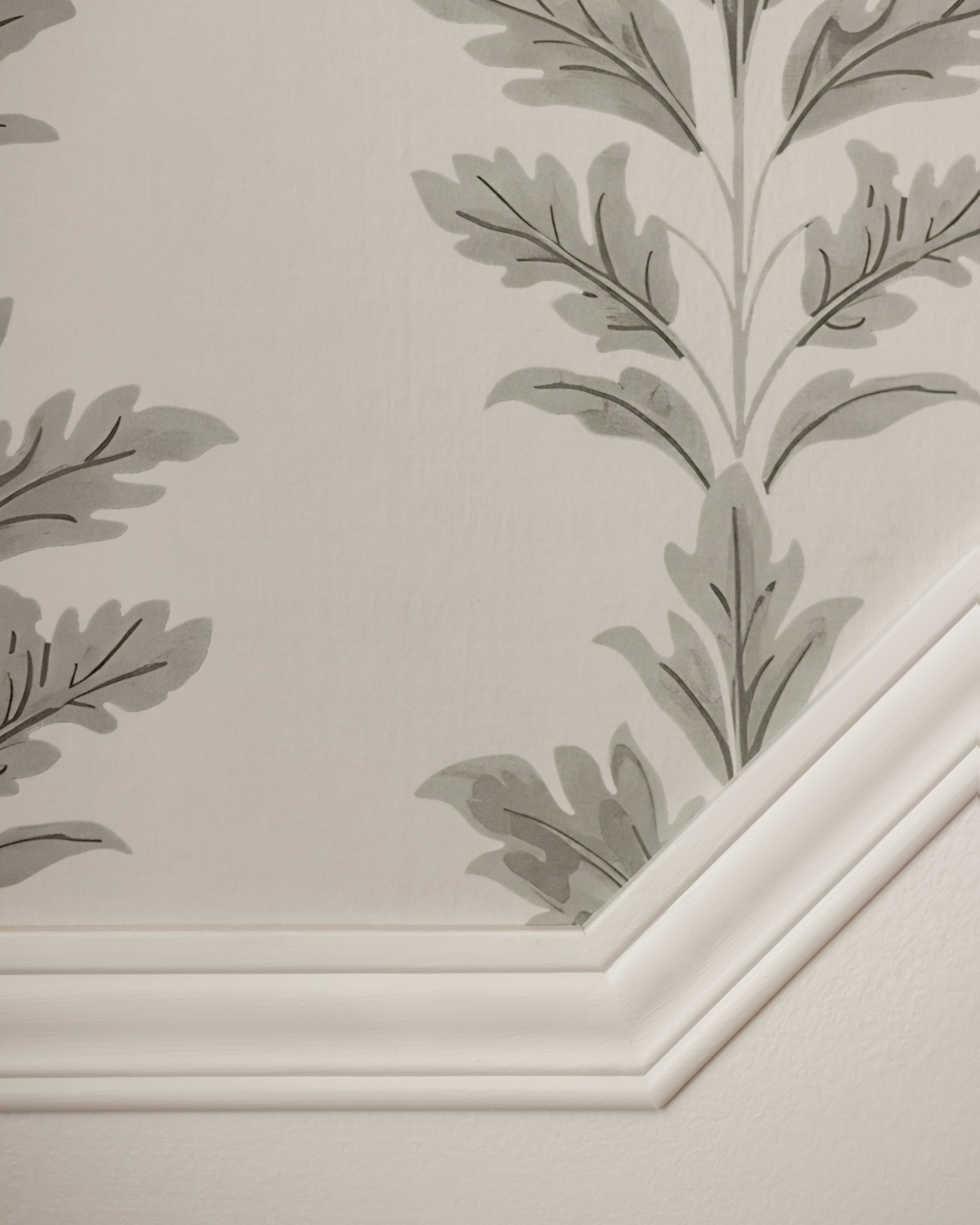 Clayton wallpaper from Claret and Key.