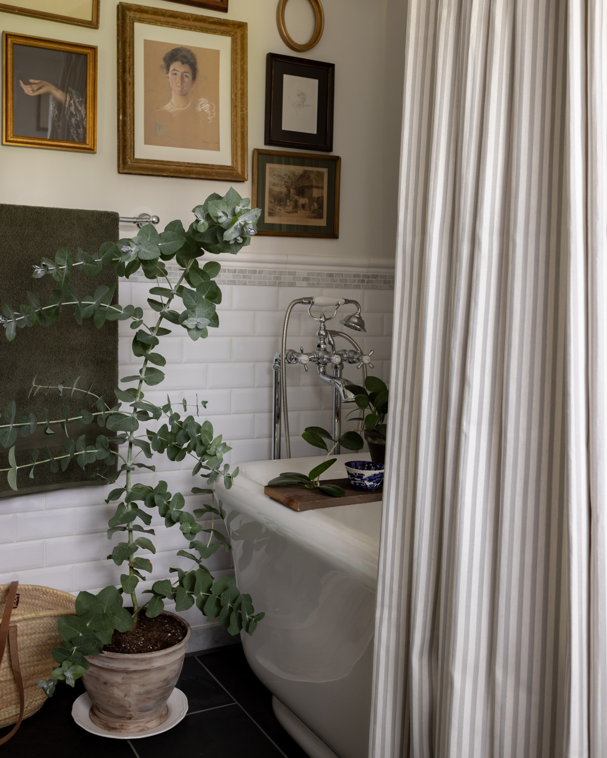 A eucalyptus tree in a planter next to a bathtub.