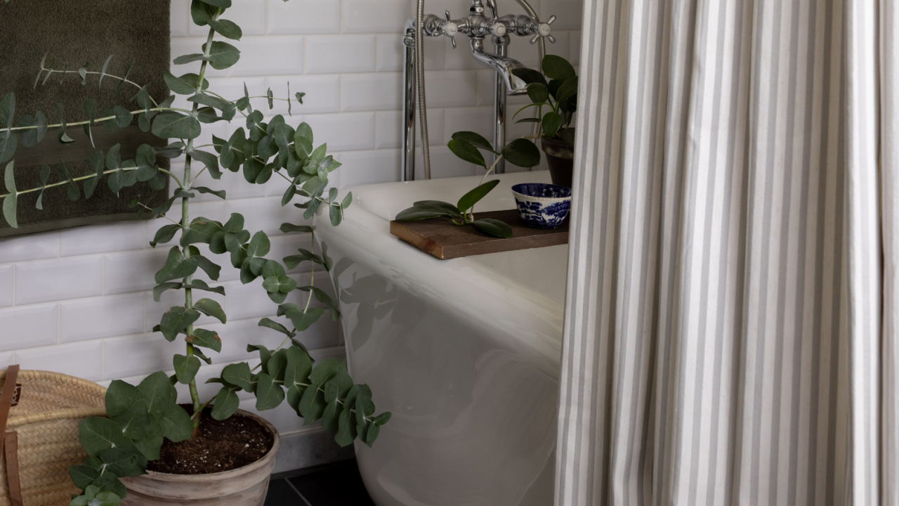 A white free standing tub with chrome tub filler.