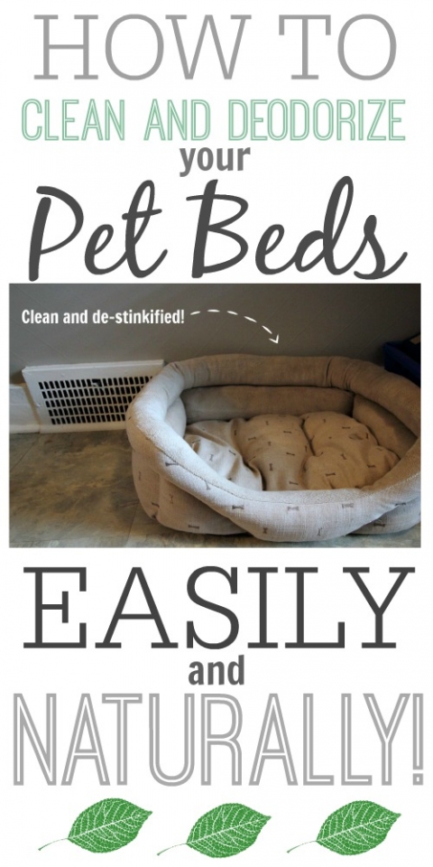 clean dog bed baking soda