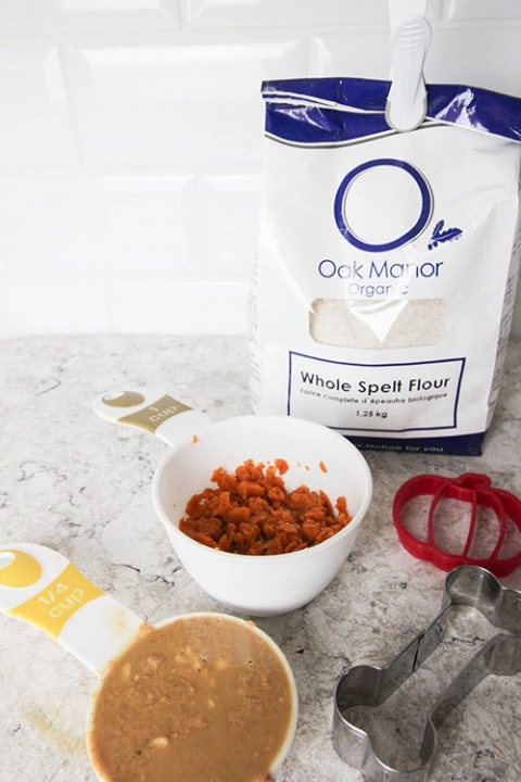 3 ingredient pumpkin dog treats
